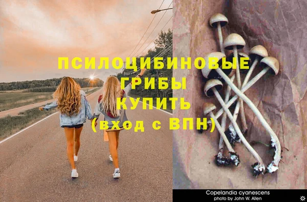прущая мука Армянск
