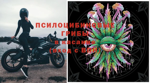 мяу мяу мука Баксан