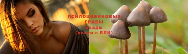 мдпв Балахна