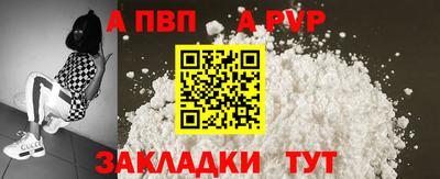 ешки Кингисепп