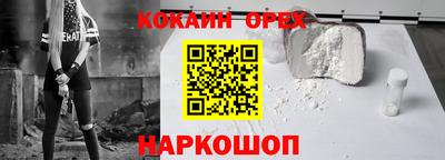 ешки Кингисепп
