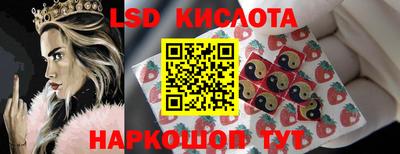 ешки Кингисепп