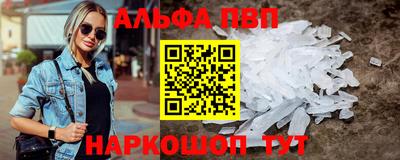 ешки Кингисепп