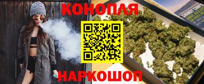 ешки Кингисепп