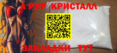 ешки Кингисепп