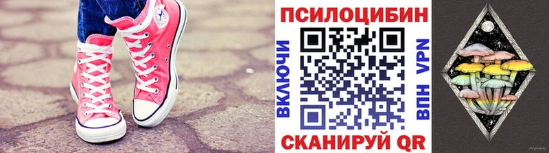 Галлюциногенные грибы Psilocybine cubensis закладка Улан-Удэ